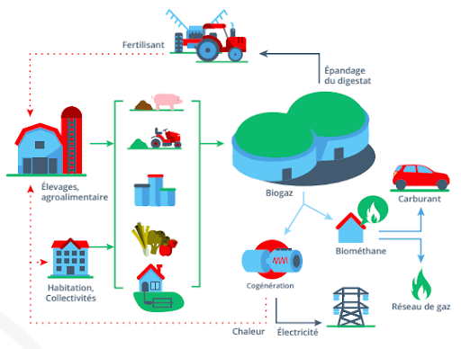 TRANSFORMER LES DECHETS EN ENERGIE VERTE GRACE A LA METHANISATION